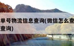 怎么查单号物流信息查询(微信怎么查单号物流信息查询)