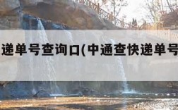 中通快递单号查询口(中通查快递单号查询入口)