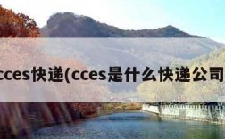 cces快递(cces是什么快递公司)