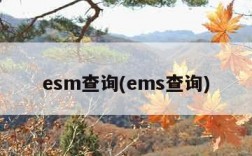 esm查询(ems查询)