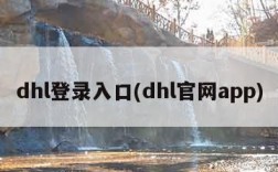 dhl登录入口(dhl官网app)