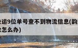 韵达快运9位单号查不到物流信息(韵达单号九位数怎么办)