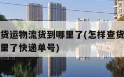 怎样查货运物流货到哪里了(怎样查货运物流货到哪里了快递单号)