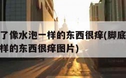 脚底长了像水泡一样的东西很痒(脚底长了像水泡一样的东西很痒图片)