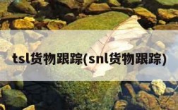 tsl货物跟踪(snl货物跟踪)