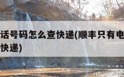 只有电话号码怎么查快递(顺丰只有电话号码怎么查快递)