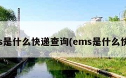 ems是什么快递查询(ems是什么快件)