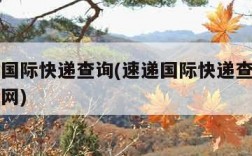 一速递国际快递查询(速递国际快递查询单号查询官网)