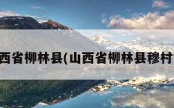 山西省柳林县(山西省柳林县穆村镇)