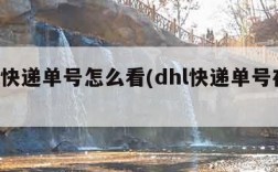 dhl快递单号怎么看(dhl快递单号在哪看)