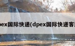 dpex国际快递(dpex国际快递客服)