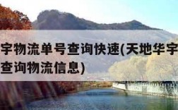 天地华宇物流单号查询快速(天地华宇物流快递单号查询物流信息)