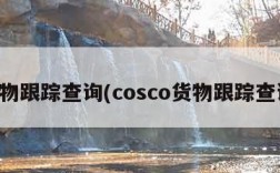 货物跟踪查询(cosco货物跟踪查询)