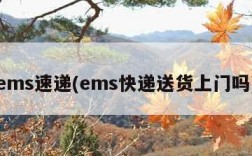 ems速递(ems快递送货上门吗)