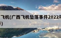 广西飞机(广西飞机坠落事件2022年3月21号)