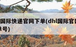 dhl国际快递官网下单(dhl国际官网查询单号)