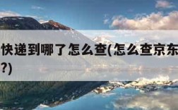 查京东快递到哪了怎么查(怎么查京东快递到哪里了?)