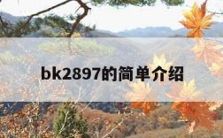 bk2897的简单介绍