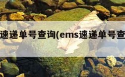 ems速递单号查询(ems速递单号查询跟踪)