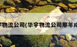 华宇物流公司(华宇物流公司那年成立)