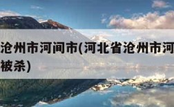 河北省沧州市河间市(河北省沧州市河间市公安局长被杀)