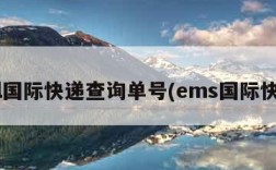 dhl国际快递查询单号(ems国际快递)