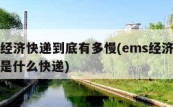 ems经济快递到底有多慢(ems经济快递一般是什么快递)