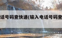 输入电话号码查快递(输入电话号码查快递信息)