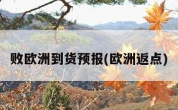 败欧洲到货预报(欧洲返点)