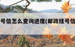 邮政挂号信怎么查询进度(邮政挂号信在哪里查)