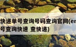 ems快递单号查询号码查询官网(ems快递单号查询快速 查快递)