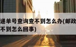 邮政快递单号查询查不到怎么办(邮政快递单号查询不到怎么回事)