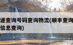 顺丰快递查询号码查询物流(顺丰查询快递单号查询信息查询)