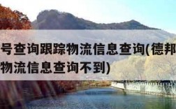 德邦单号查询跟踪物流信息查询(德邦单号查询跟踪物流信息查询不到)