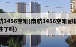 南航3456空难(南航3456空难副机长牺牲了吗)