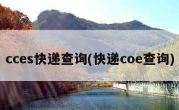 cces快递查询(快递coe查询)