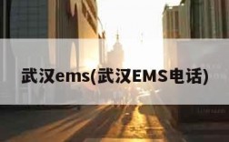 武汉ems(武汉EMS电话)