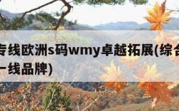 欧亚专线欧洲s码wmy卓越拓展(综合布线国产一线品牌)