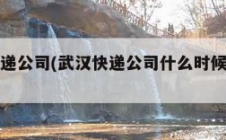 武汉快递公司(武汉快递公司什么时候开始上班)