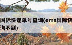 ems国际快递单号查询(ems国际快递单号查询不到)