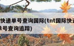 tnt快递单号查询国际(tnt国际快递查询单号查询追踪)