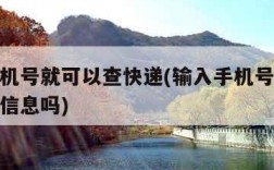 输入手机号就可以查快递(输入手机号就可以查快递信息吗)