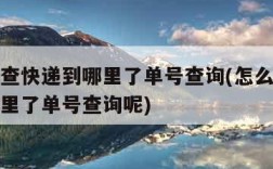 怎么样查快递到哪里了单号查询(怎么样查快递到哪里了单号查询呢)