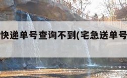 宅急送快递单号查询不到(宅急送单号怎么查不到)