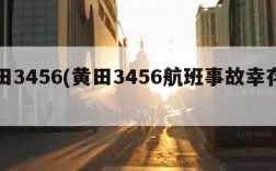 黄田3456(黄田3456航班事故幸存者)