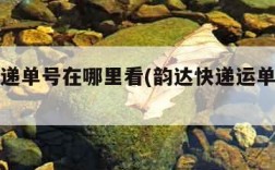 韵达快递单号在哪里看(韵达快递运单号在哪看)